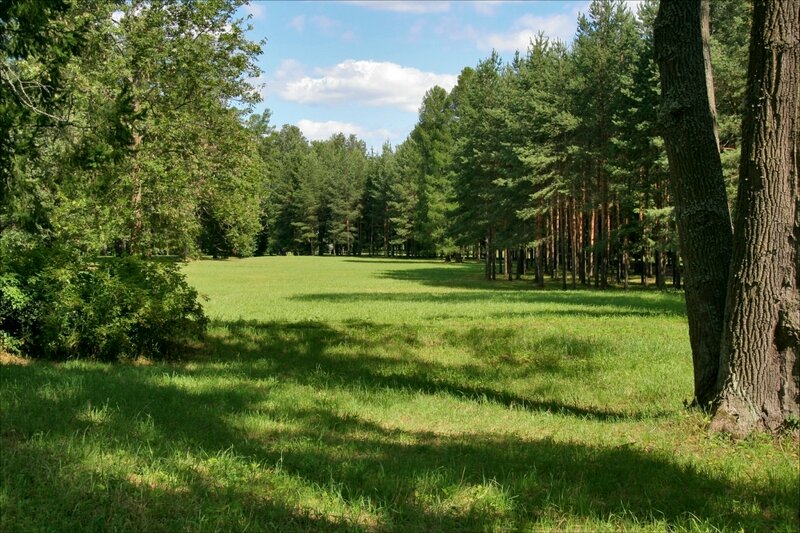 Царское Село, пейзажный парк