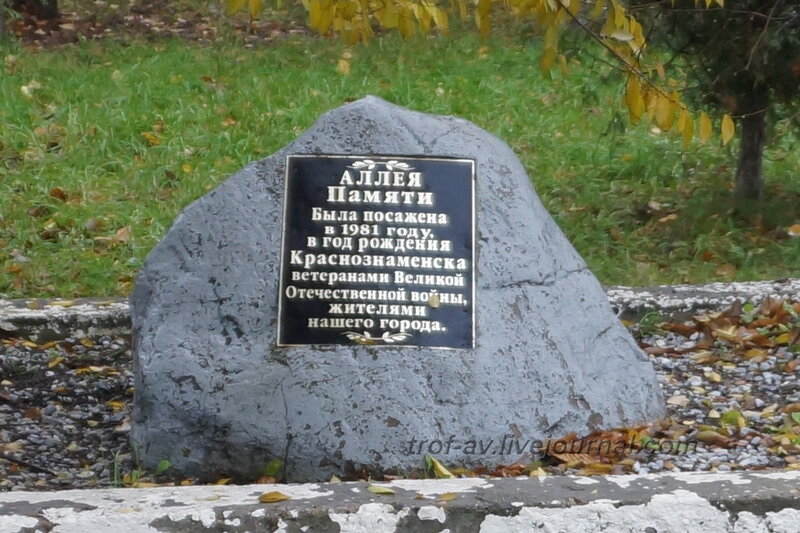 Памятный камень на аллее памяти, Краснознаменск