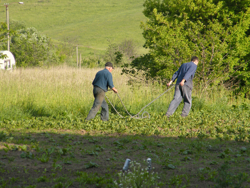 Ровно