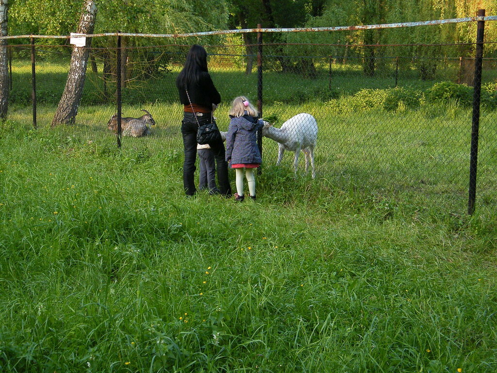 город Тернополь, города Украины