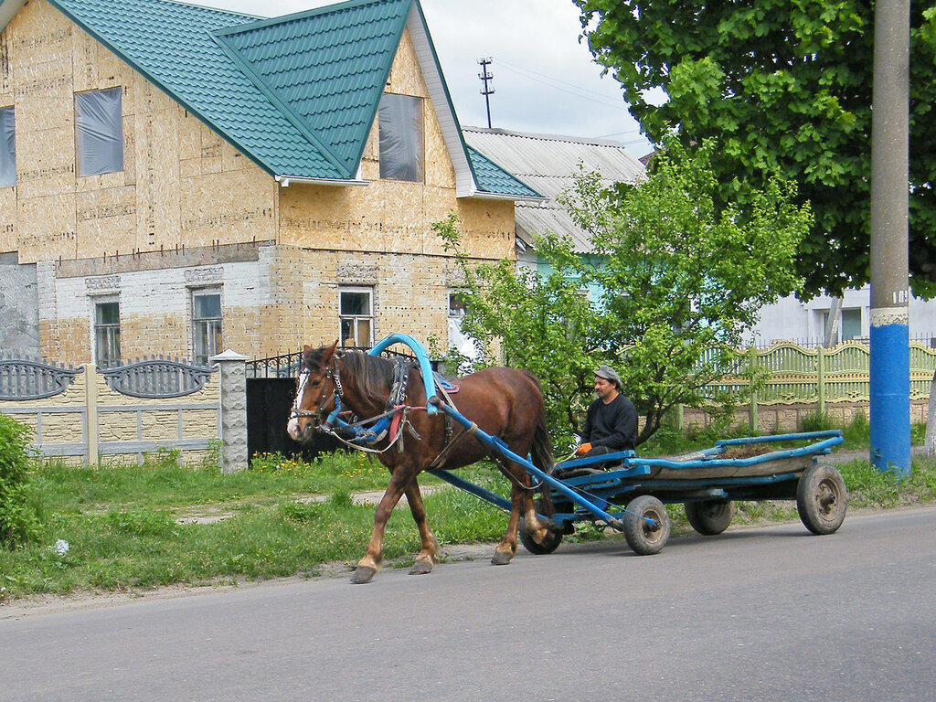 город Брянск, города России