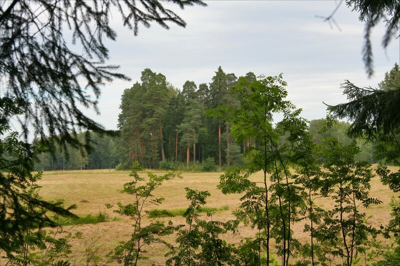 Павловский парк, "Самое красивое место"