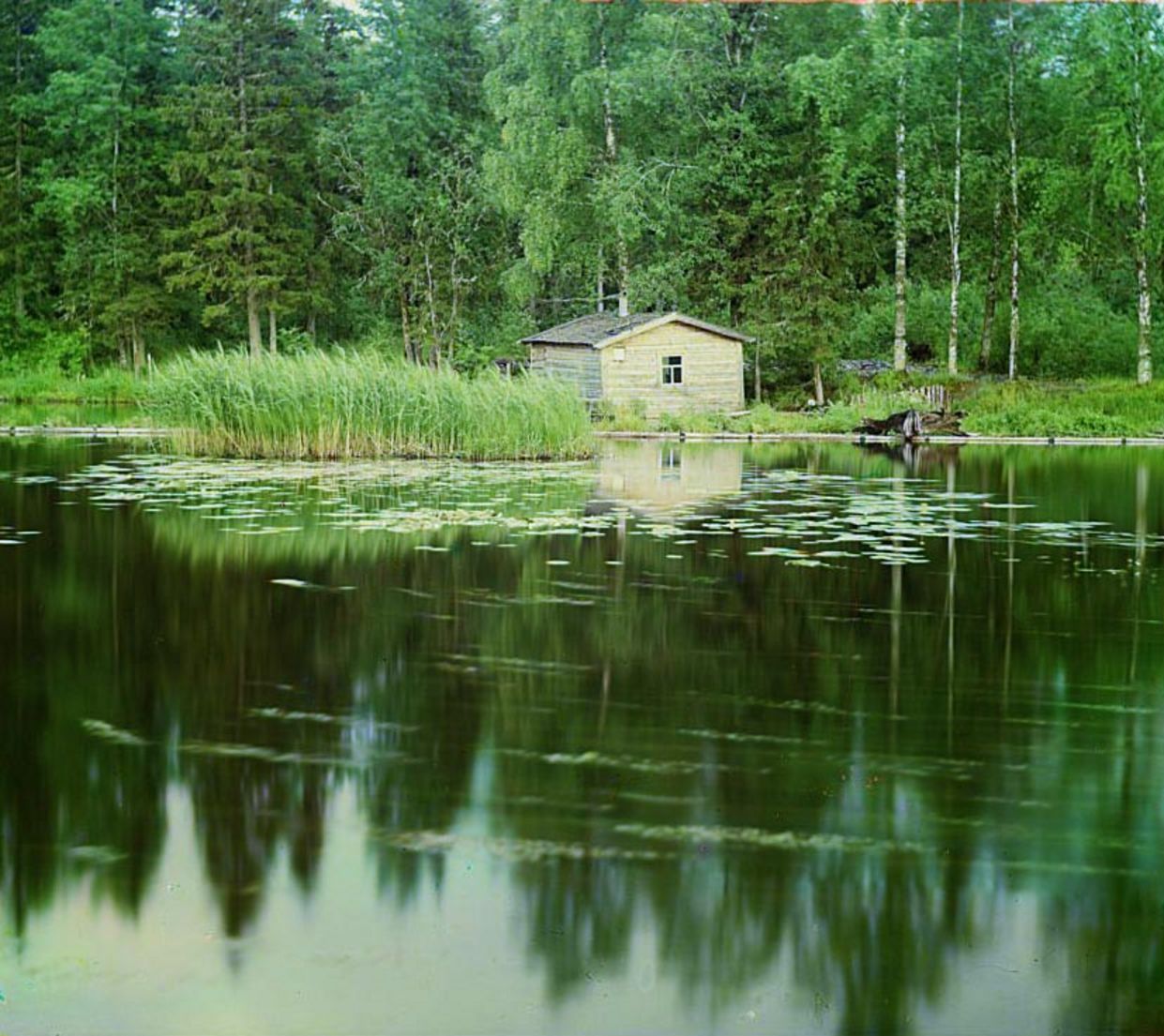 Лижма (пловучий остров)