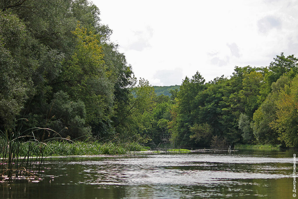 река, оскол, волоконовский район, Белгородская область
