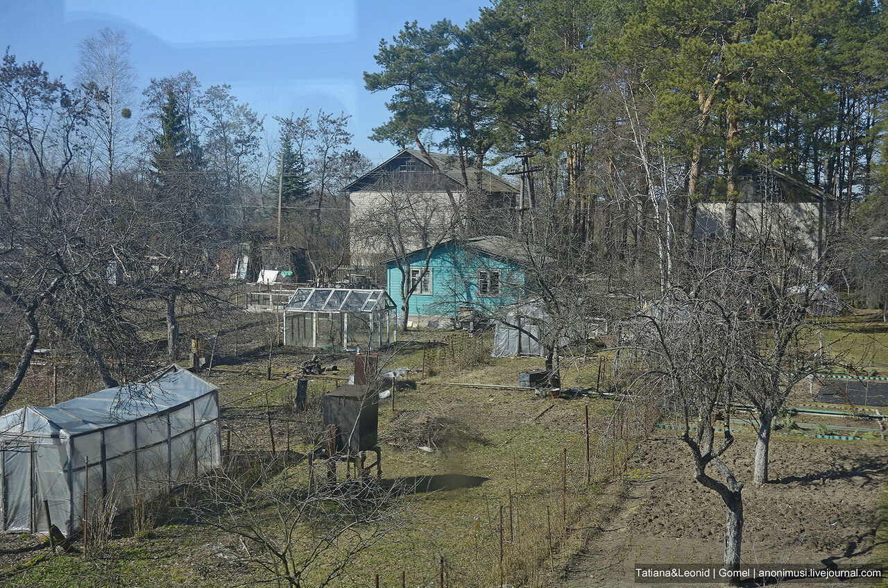 Гомель-Речица. Дорога