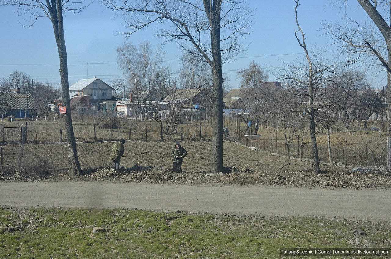 Гомель-Речица. Дорога