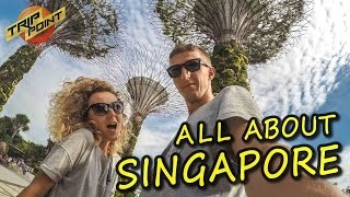 СИНГАПУР. ЦЕНЫ и ОБЗОР: отель, экскурсии, еда, лучшие места. АРТ ВЛОГ