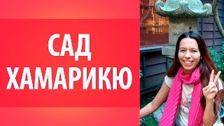 Сад Хамарикю. Япония. Достопримечательности Японии. Природа Японии.