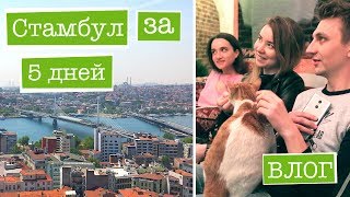 СТАМБУЛ ЗА 5 ДНЕЙ: коты, достопримечательности, красивые места! ВЛОГ ИЗ ТУРЦИИ 2017