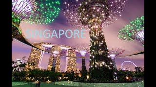 Сингапур - Singapore от Tour My Dream (Достопримечательности, Цены, Виза, Что посмотреть, Жилье)