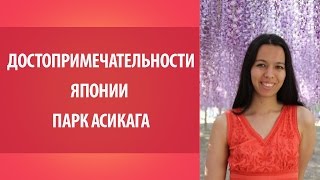 Достопримечательности Японии. Парки Японии: парк Асикага. Япония.