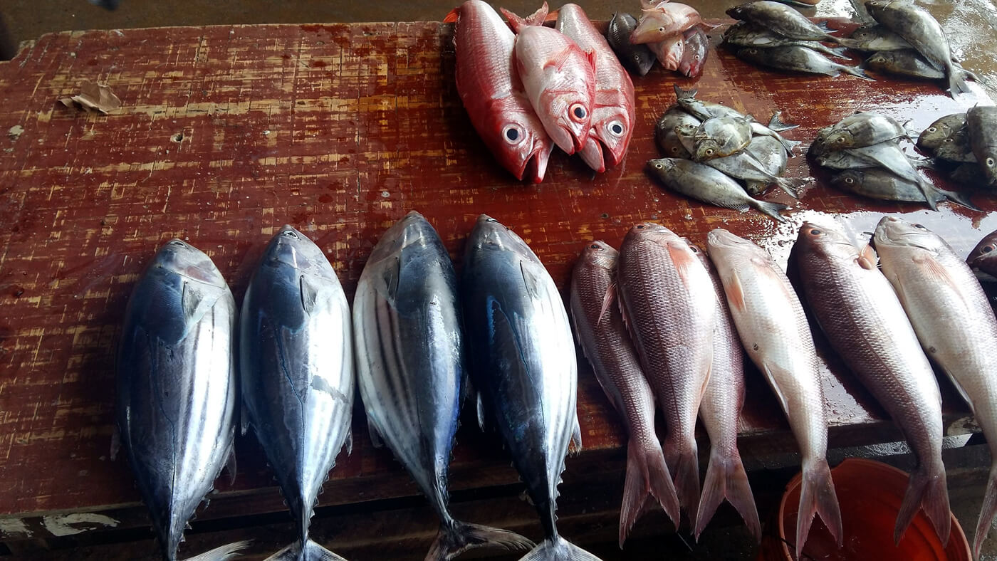 Рыбный рынок Kivukoni