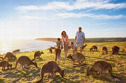 Отзывы туристов о поездке в Австралию