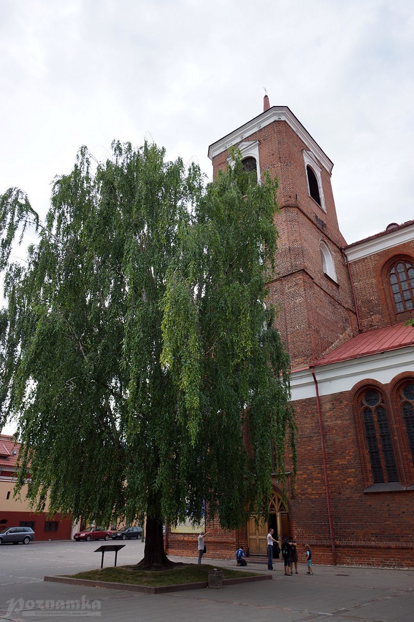 Собор Святых Петра и Павла. Литва. Каунас. Достопримечательности Каунаса.