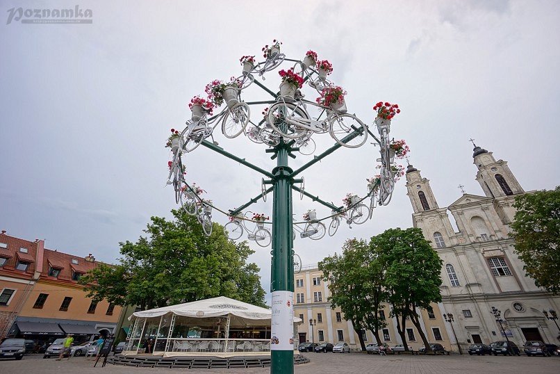 Ратушная площадь (Rotušės aikštė). Литва. Каунас. Достопримечательности Каунаса.