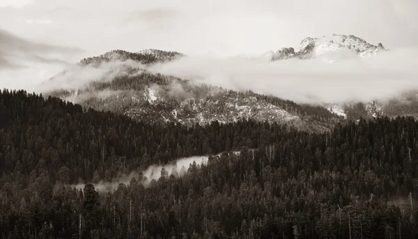 Гора с туман — стоковое фото
