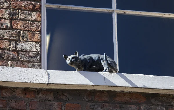 Статуя кошки в Йорк — стоковое фото