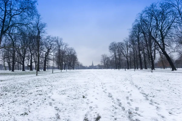 Гайд-парк в зимний период — стоковое фото