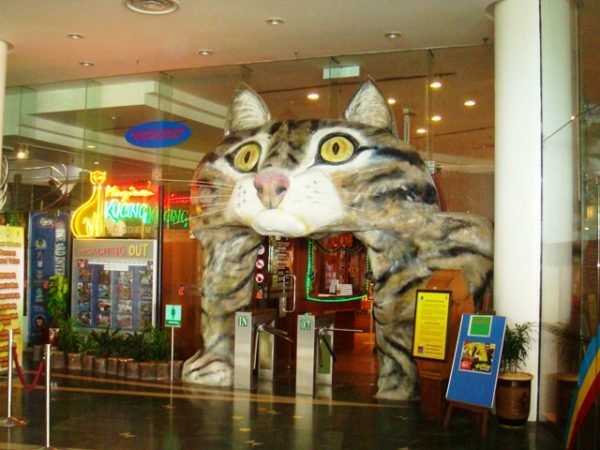 Музей кошек в Борнео Малайзия