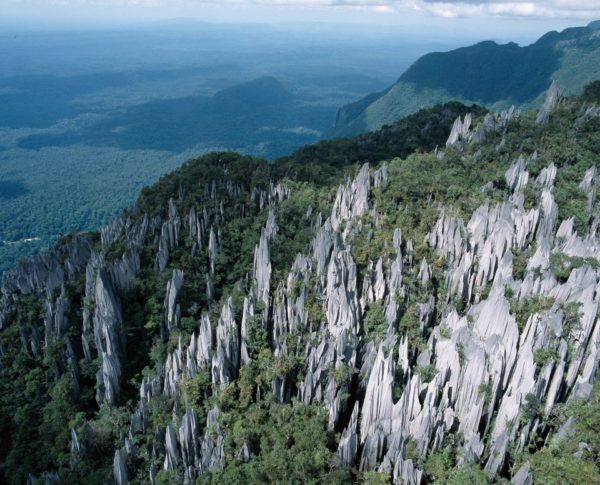 Национальный парк Мулу в Малайзии на острове Борнео