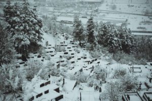 Dilijan Winter