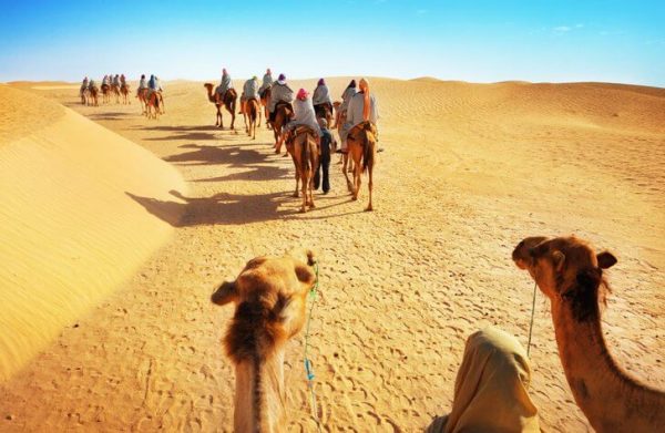 Передвижение на верблюдах по пустыне Сахара