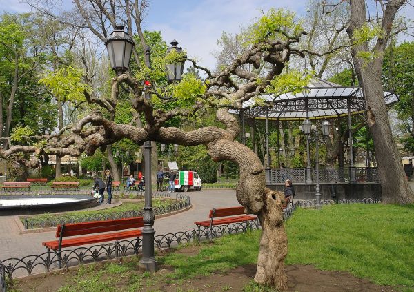 Городской сад в Одессе